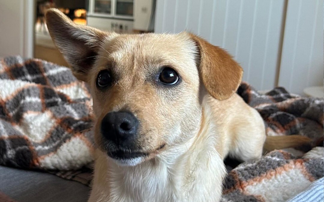 Mira ♀️ in 48153 Münster