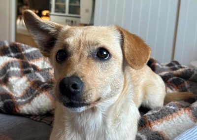 Mira ♀️ in 48153 Münster