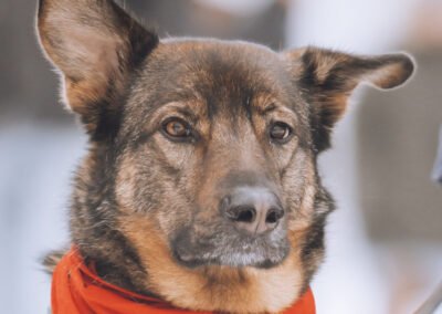 Nelli ♀️ in 25474 Bönningstedt