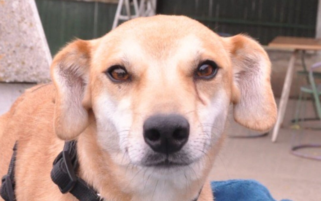 Aska ♀️ in 21039 Börnsen