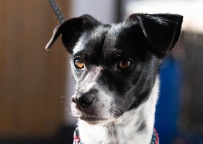 Chihiro ♀️ in 82205 Gilching