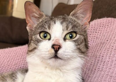 Gabbi ♂️ in 22767 Hamburg