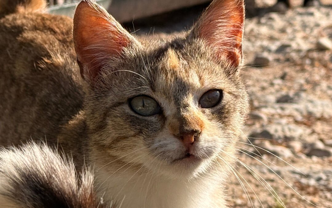 Lotti ♀️