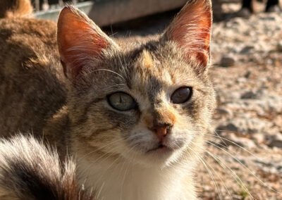Lotti ♀️