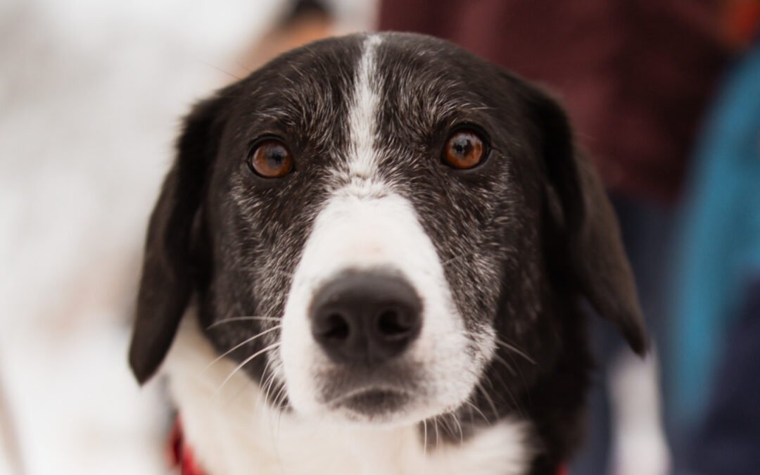 Mona ♀️ in 01640 Coswig