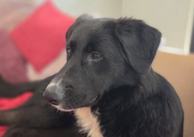 Sienna ♀️ in 45289 Essen