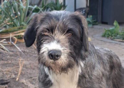 Alani ♀️ in 90530 Wendelstein