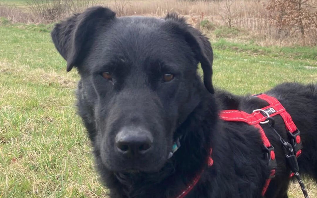 Asya ♀️ in 36179 Bebra