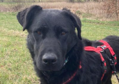 Asya ♀️ in 36179 Bebra