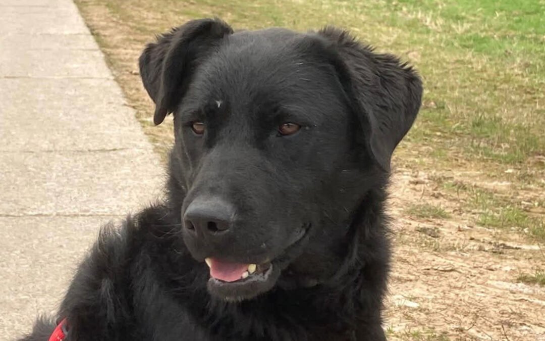 Asya ♀️ in 36179 Bebra