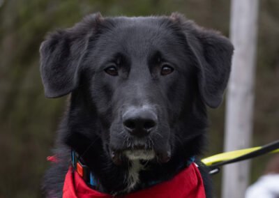 Cosmo ♂️ in 55116 Mainz