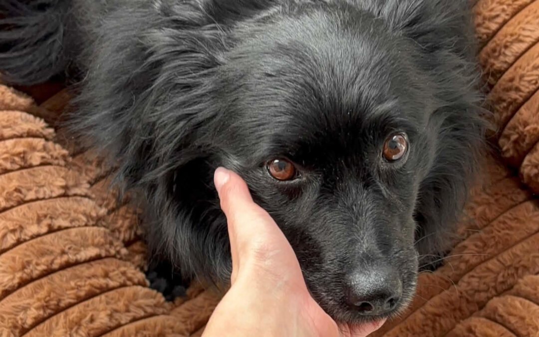 Daisy ♀️ in 04157 Leipzig