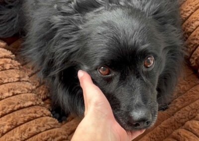 Daisy ♀️ in 04157 Leipzig