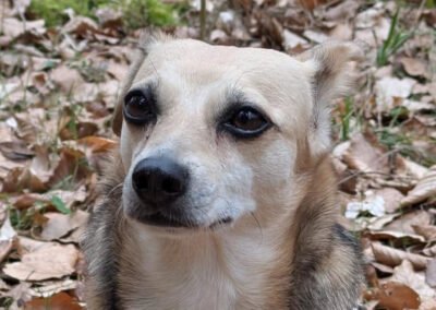 Mirna ♀️ in 67663 Kaiserslautern