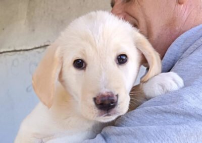 Namenspate gesucht 2 – Rüde