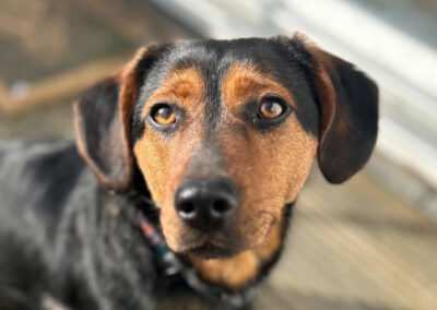 Tilly ♀️ in 48153 Münster