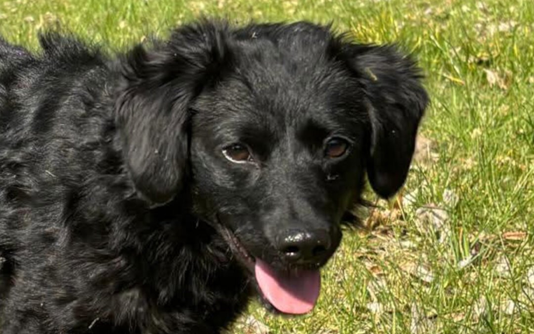 Đina ♀️ in 21755 Hechthausen