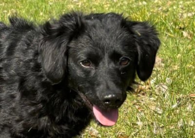 Đina ♀️ in 21755 Hechthausen