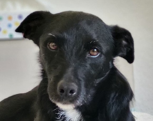 Lemmy ♂️ in 21075 Hamburg