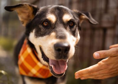 Dustin ♂️