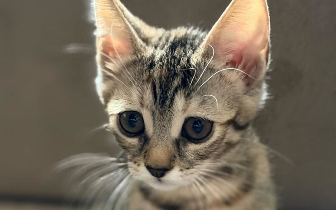Coco ♀️