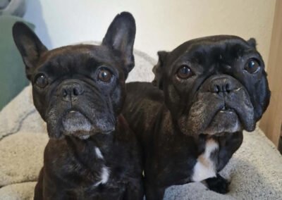 Daisy & Molly ♀️