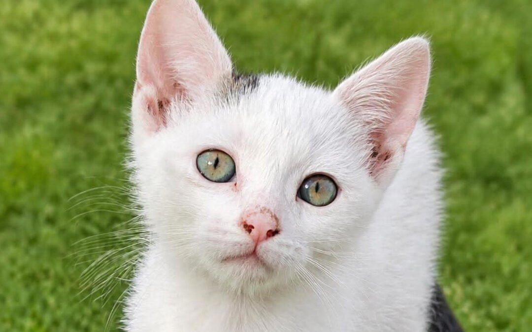 Kiki ♀️