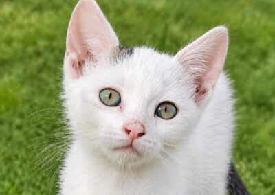 Kiki ♀️