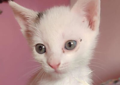 Kiki ♀️