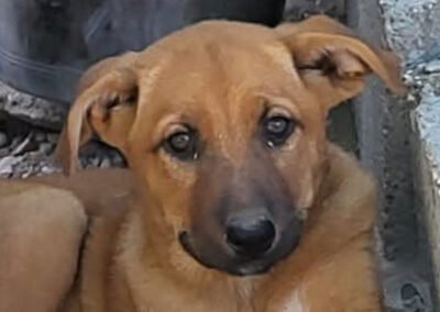 Lilli ♀️